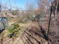 20220328_133251.jpg