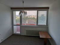 IMG_20200805_114019.jpg
