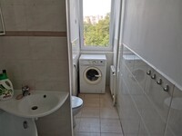 IMG_20200805_114149.jpg