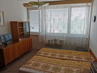 IMG_20200805_114210.jpg