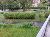 20220914_155117.jpg